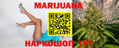 гидра Камышлов
