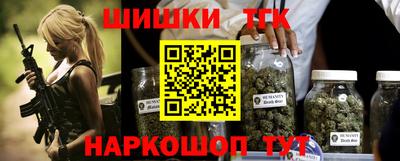 гидра Камышлов
