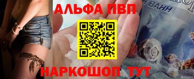 jwh Кингисепп