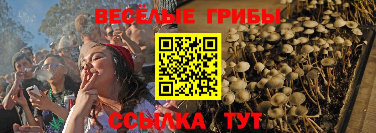 Красноармейск  Галлюциногенные грибы MAGIC MUSHROOMS  Вход с VPN  Псилоцибиновые грибы Magic Shrooms 
